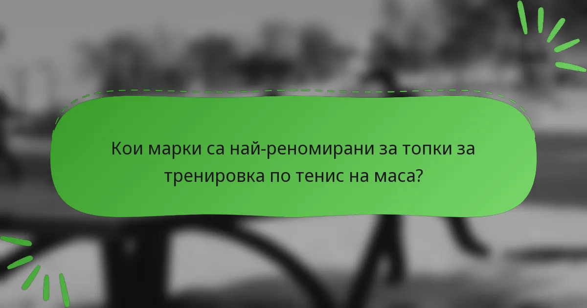 Кои марки са най-реномирани за топки за тренировка по тенис на маса?